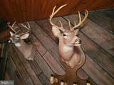  Walnut Ridge Road - Photo 4