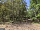 6.82 Acres Lutz Ave - Photo 12