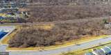 6.82 Acres Lutz Ave - Photo 34