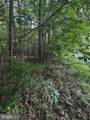 36810 Bushwood Drive - Photo 8