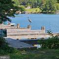 6202 Bills Road - Photo 9