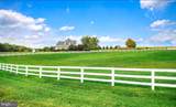 4116 Harford Creamery Road - Photo 119