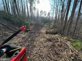 LOT6 Zachary Taylor Hwy - Photo 13