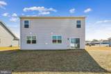 31131 Tigress Road - Photo 31