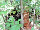 0 James River Rd - Photo 3