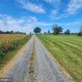 433 Fickes School Road - Photo 22