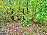 TBD Knobtown Road - Photo 15