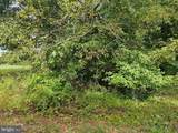 00000 Bushwood - Photo 3