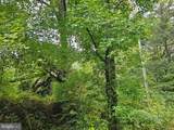 00000 Bushwood - Photo 4