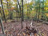 0 Basswood - Photo 4