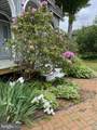 6056 Main Street - Photo 5