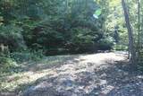  Dismal Hollow Road - Photo 3