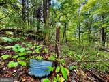 TBD Webster Road - Photo 13