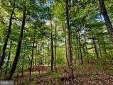 TBD Webster Road - Photo 19