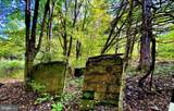 TBD Webster Road - Photo 31