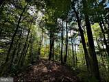 TBD Webster Road - Photo 6