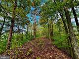 TBD Webster Road - Photo 8