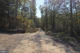 33+ ACRES Quail Run Lane - Photo 10