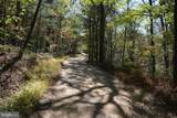 33+ ACRES Quail Run Lane - Photo 12