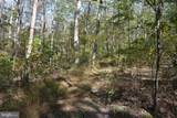 33+ ACRES Quail Run Lane - Photo 14