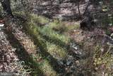 33+ ACRES Quail Run Lane - Photo 15