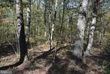 33+ ACRES Quail Run Lane - Photo 3