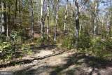 33+ ACRES Quail Run Lane - Photo 4