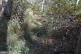 33+ ACRES Quail Run Lane - Photo 7