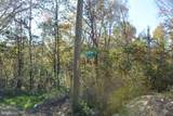 33+ ACRES Quail Run Lane - Photo 9