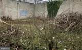 1323-1329 Lambert Street - Photo 5