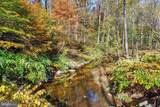 255 Meadow Road - Photo 5