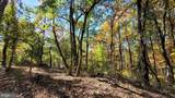 Parcel 43 Sunshine Trail - Photo 3