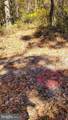 Parcel 43 Sunshine Trail - Photo 7