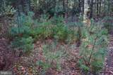 Lot on Penns Creek Road - Photo 8