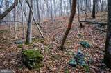 Lot 22 Buck Ridges Road - Photo 11