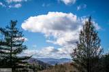 Lot 22 Buck Ridges Road - Photo 20