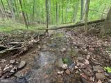  179 & 181 BLUFFS ON THE POTOMAC - Photo 10