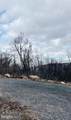 0 Old Orchard - Photo 4