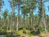  Plank Road (Tract: Chesapeake Southampton 2) - Photo 2