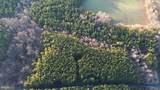Lot 7 Pinehurst Lane - Photo 4