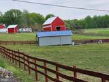 13605 Martin Road - Photo 61
