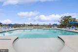 38643 Sunflower Street - Photo 14