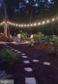 10727 Seahawk Road - Photo 1
