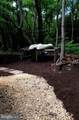 10727 Seahawk Road - Photo 7