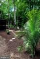 10727 Seahawk Road - Photo 8