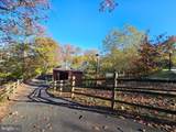 1301 Cleveland Street - Photo 40