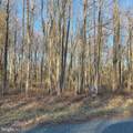  Lot 24 & 25 Buck Neck Road - Photo 3