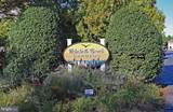 37293 Martin Street - Photo 41