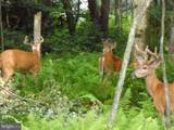 11 Mohican Trail - Photo 22