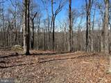 28 ACRES Deer Path Road - Photo 1